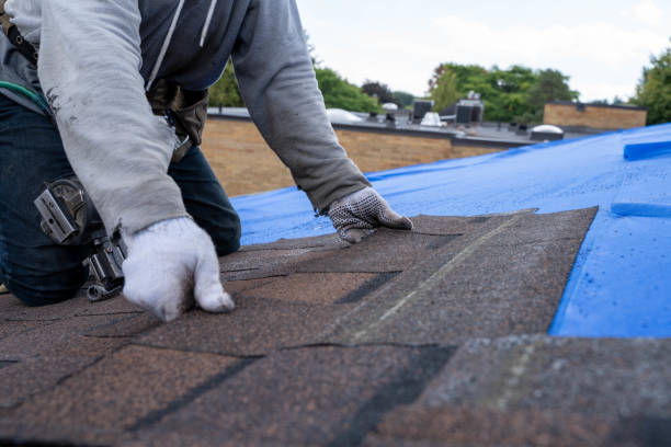 Best Rubber Roofing (EPDM, TPO)  in Bristol, VA