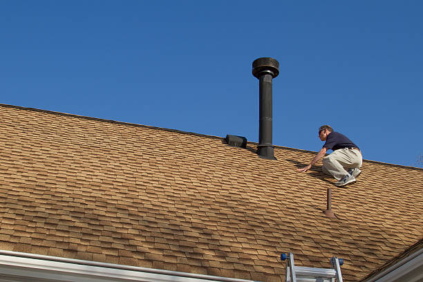 Best Roof Moss and Algae Removal  in Bristol, VA